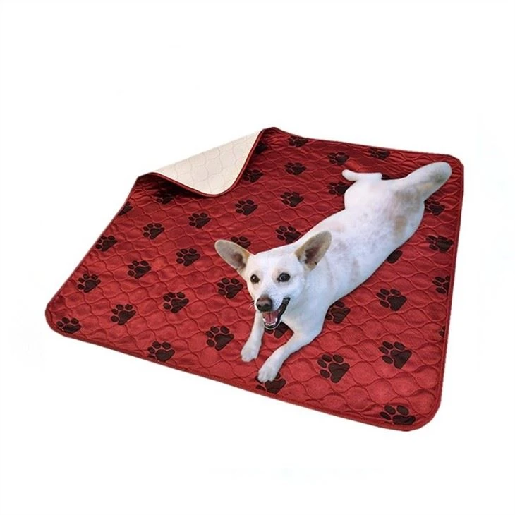Hvordan får du din hund til at sove mere fredeligt?