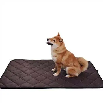 Tissepuder til hunde